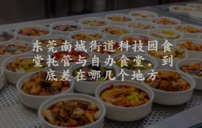 东莞南城街道科技园食堂托管与自办食堂，到底差在哪几个地方